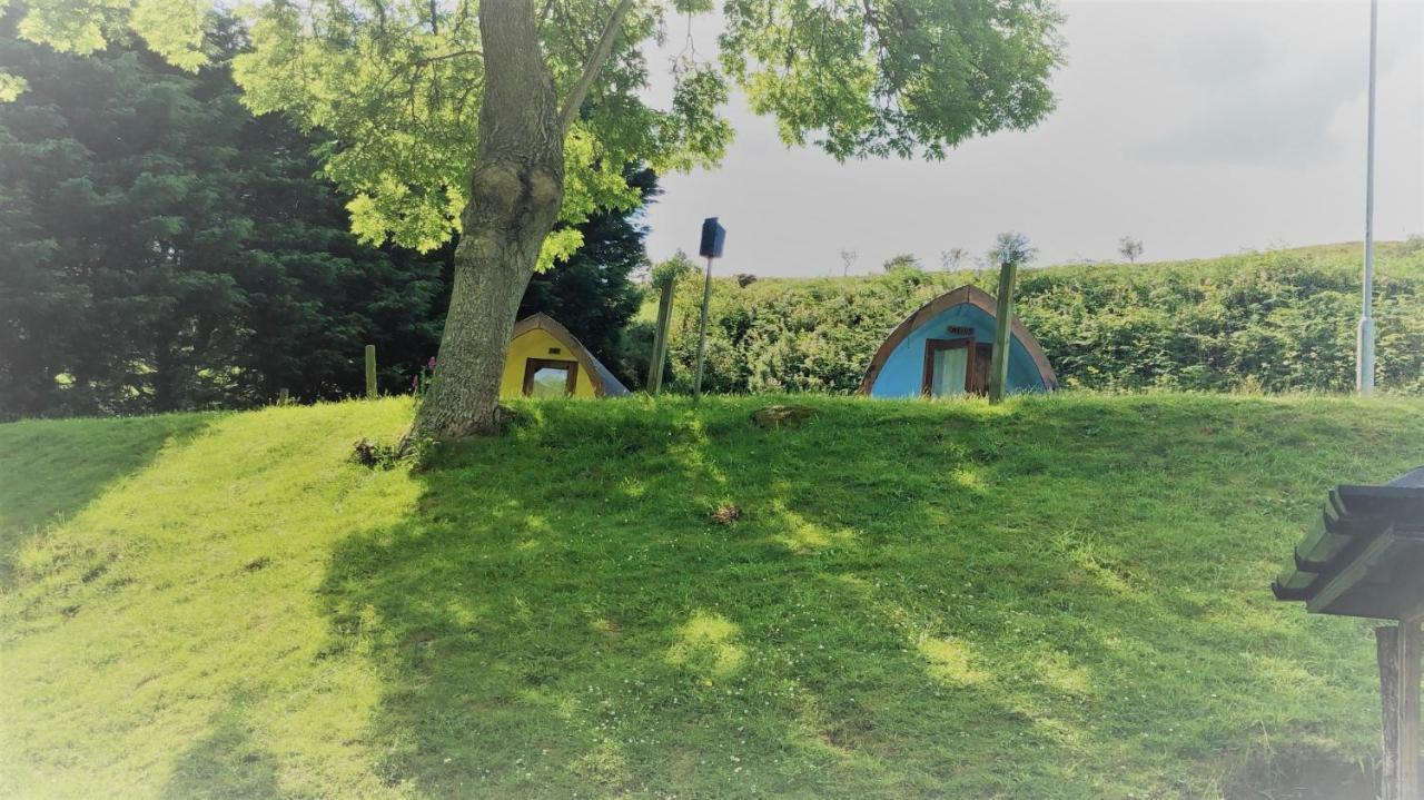East Coast Adventure Centre Glamping Hotel Rostrevor Exterior foto